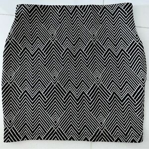 Zara Trafaluc skirt / fall winter collection Small